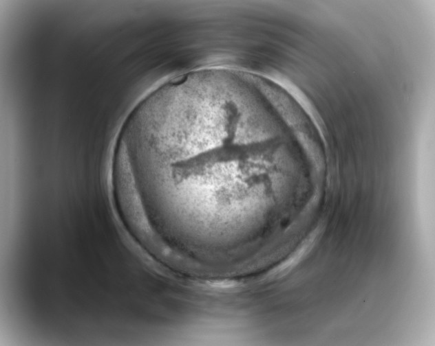 X0000088440957200706051246