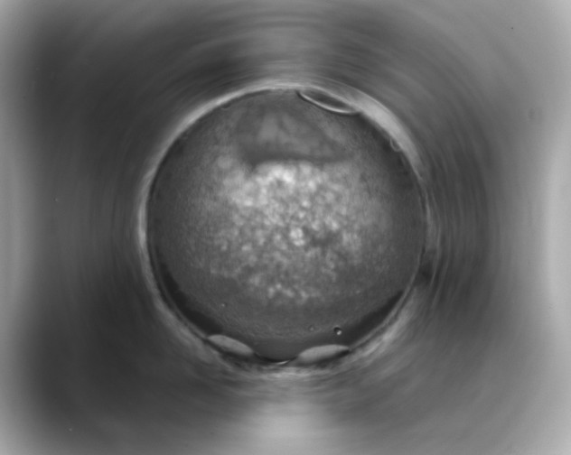 X0000088440958200706051246