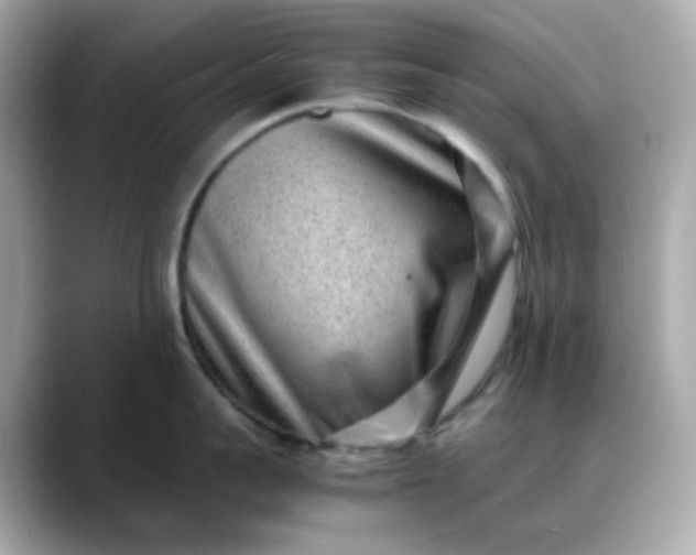 X0000088440959200706051246