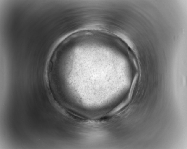 X0000088440960200706051246