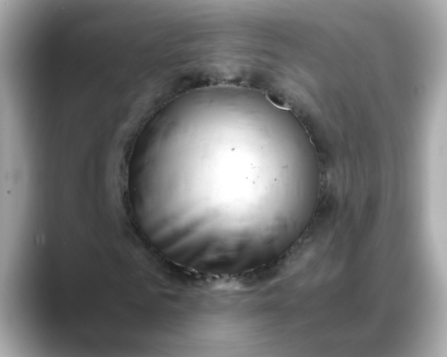 X0000088440961200706051245