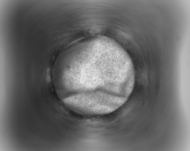 X0000088440962200706051245