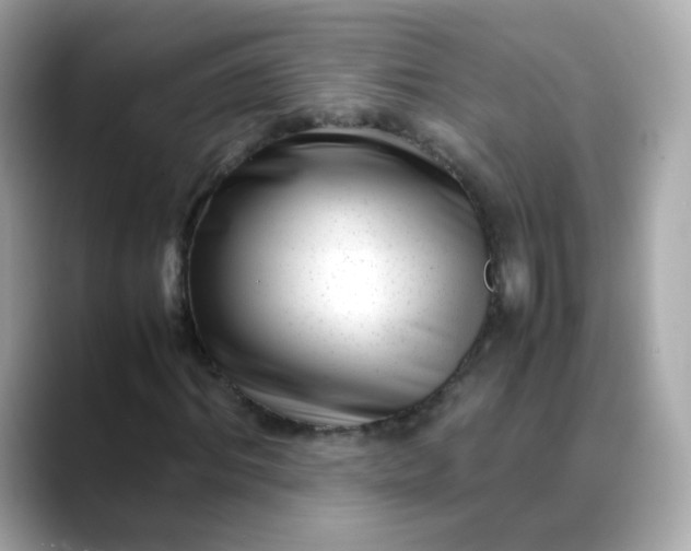 X0000088440964200706051245