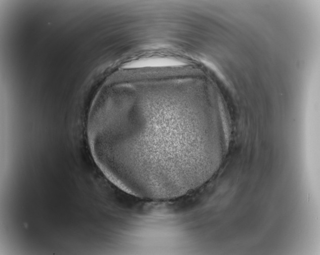 X0000088440967200706051245