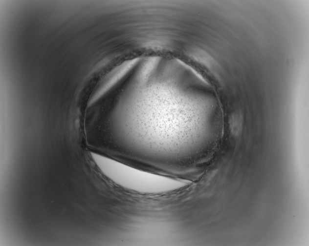 X0000088440968200706051245