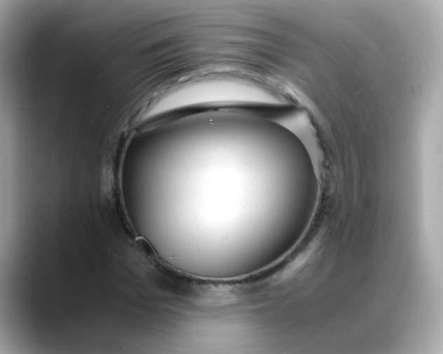 X0000088440969200706051245