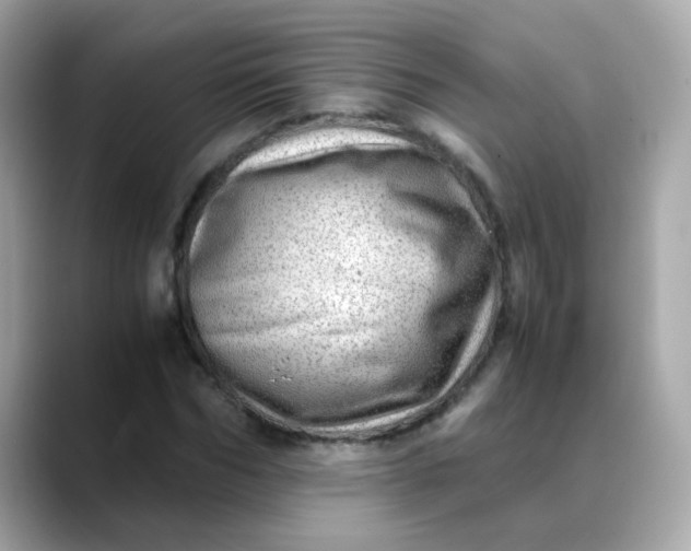 X0000088440970200706051245