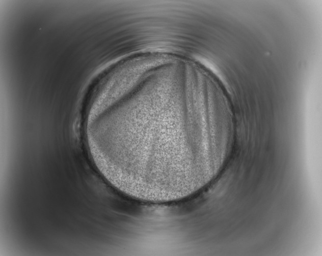 X0000088440971200706051245