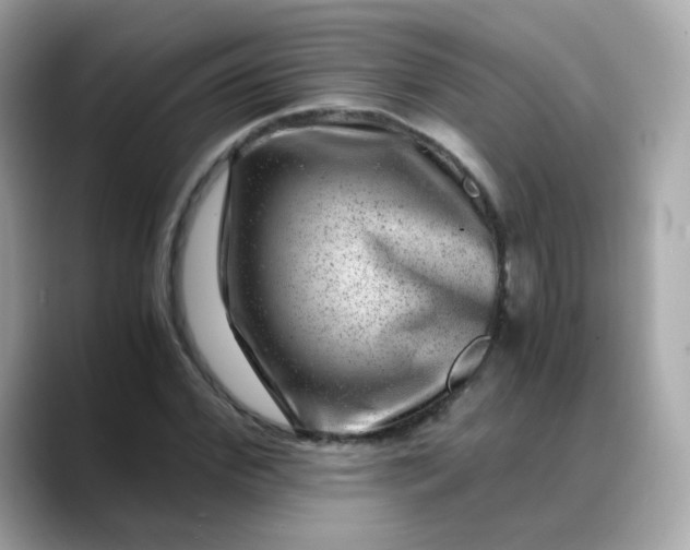 X0000088440972200706051245