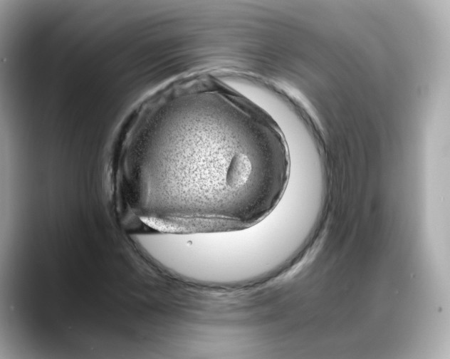 X0000088440973200706051245