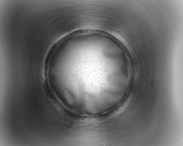 X0000088440974200706051245