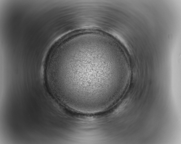 X0000088440975200706051245