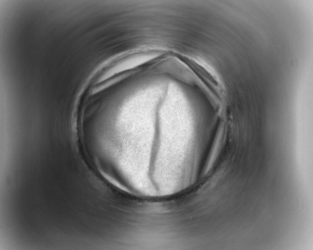 X0000088440976200706051245