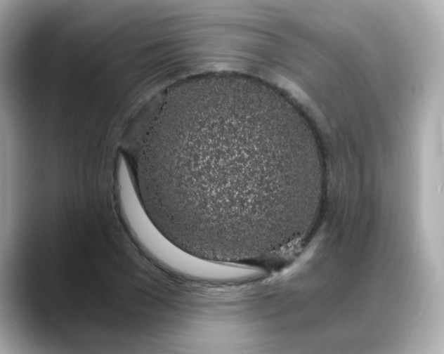 X0000088440977200706051245
