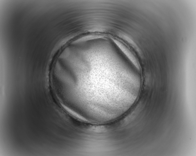 X0000088440978200706051245