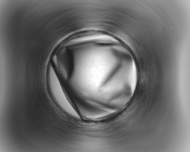 X0000088440980200706051245
