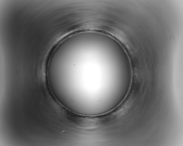 X0000088440981200706051245