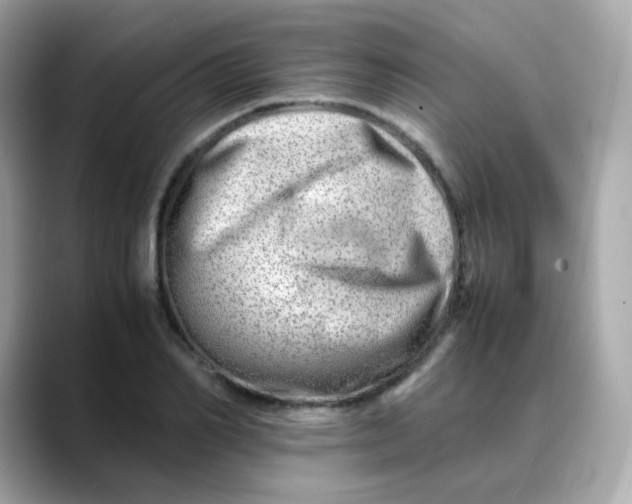 X0000088440982200706051245