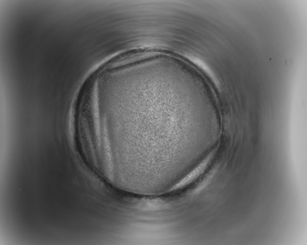 X0000088440983200706051245