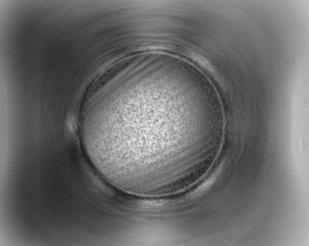 X0000088440985200706051245
