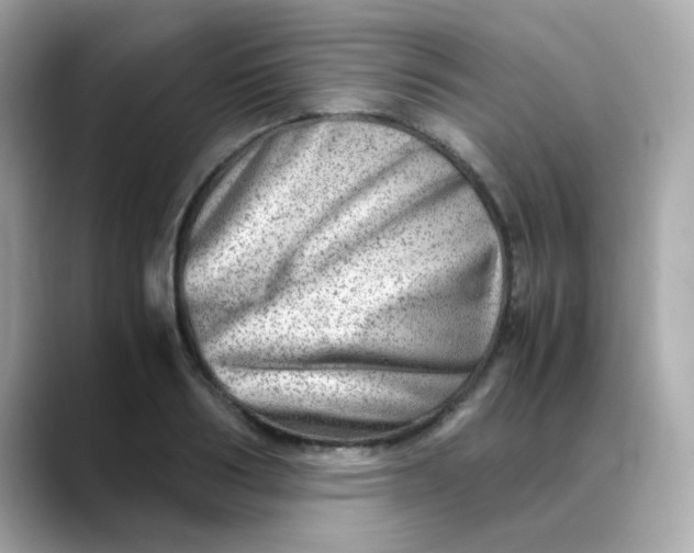 X0000088440986200706051245