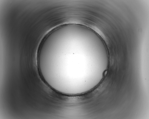 X0000088440988200706051245