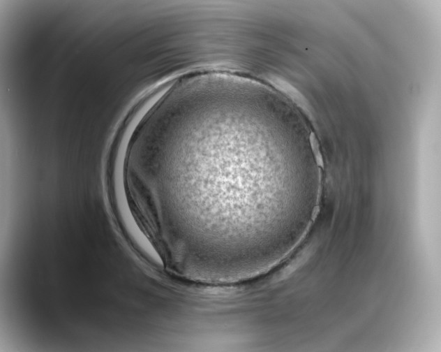 X0000088440989200706051245