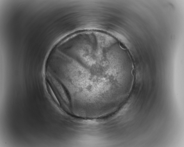 X0000088440990200706051245