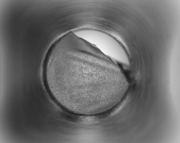 X0000088440991200706051245