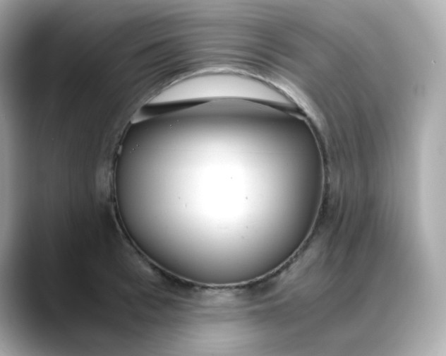 X0000088440993200706051245