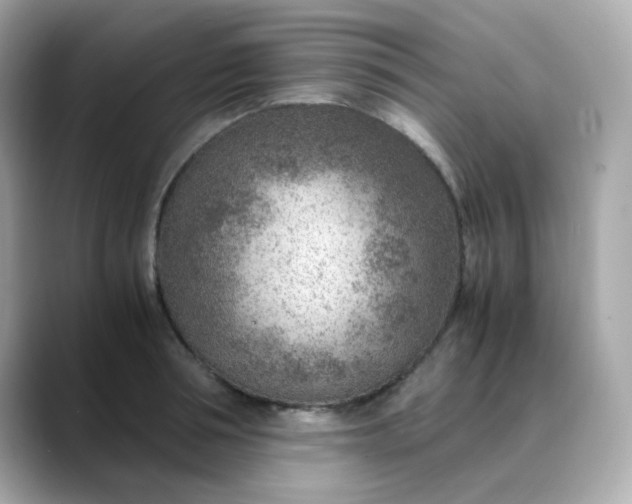 X0000088440994200706051245
