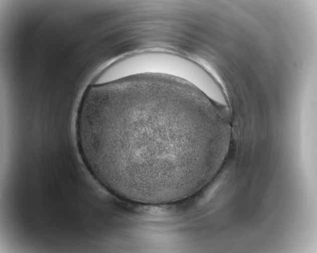 X0000088440995200706051245