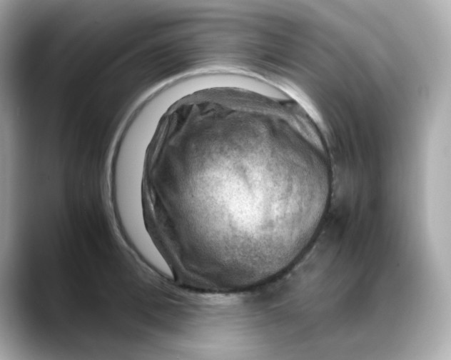 X0000088440996200706051245