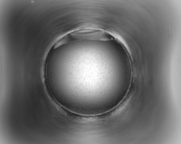 X0000088440997200706051245