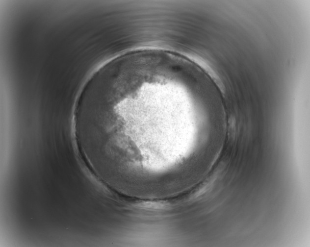 X0000088440998200706051245
