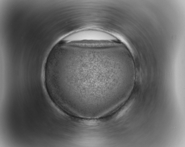 X0000088440999200706051245