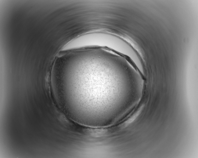 X0000088441001200706051245