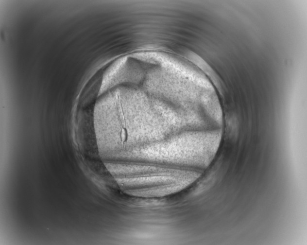 X0000088441002200706051245