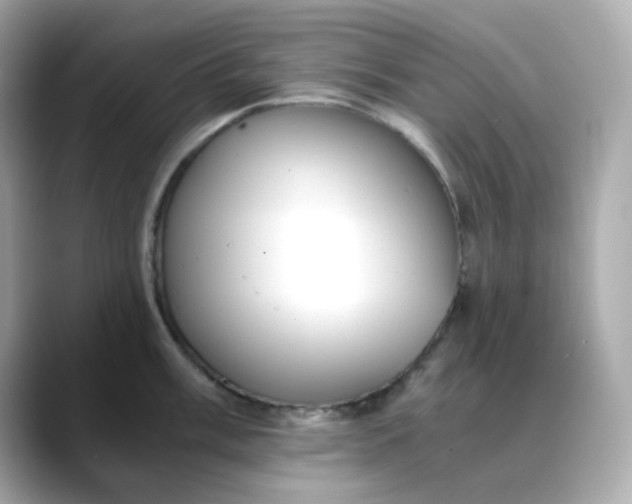 X0000088441003200706051245