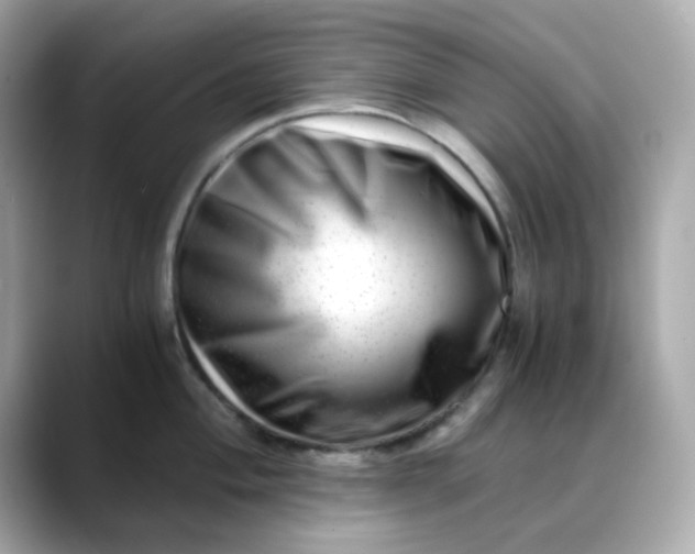 X0000088441004200706051245