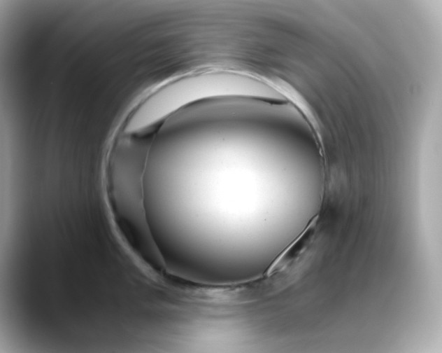 X0000088441005200706051245