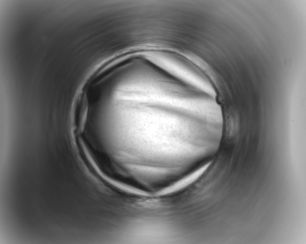 X0000088441006200706051245