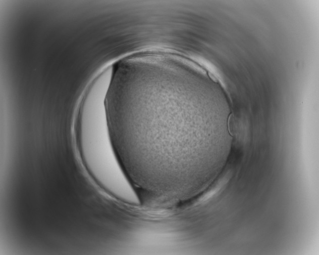 X0000088441007200706051245