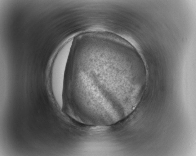 X0000088441008200706051245