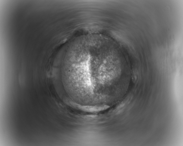 X0000088441010200706051244