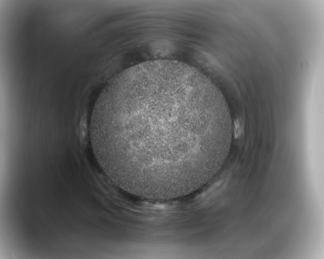 X0000088441011200706051244