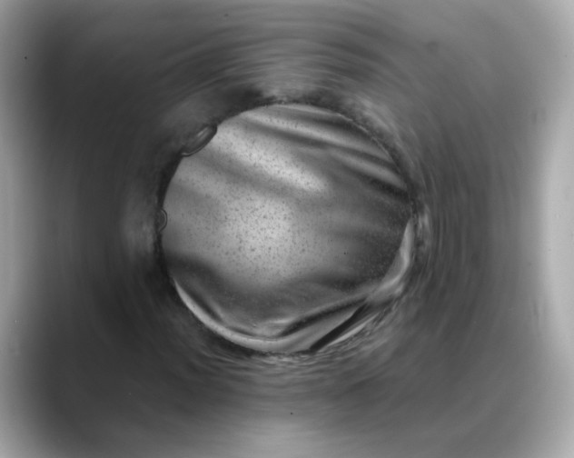 X0000088441012200706051244