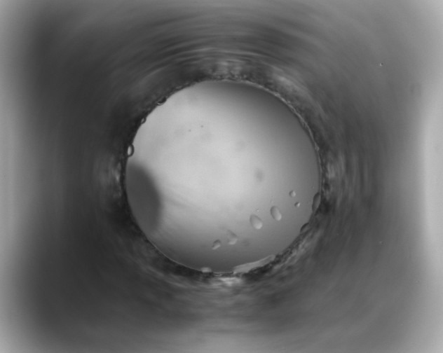 X0000088441013200706051244
