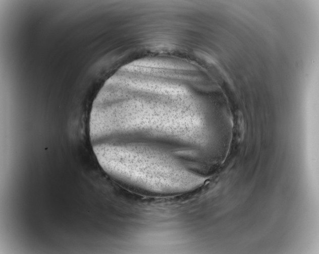X0000088441016200706051244