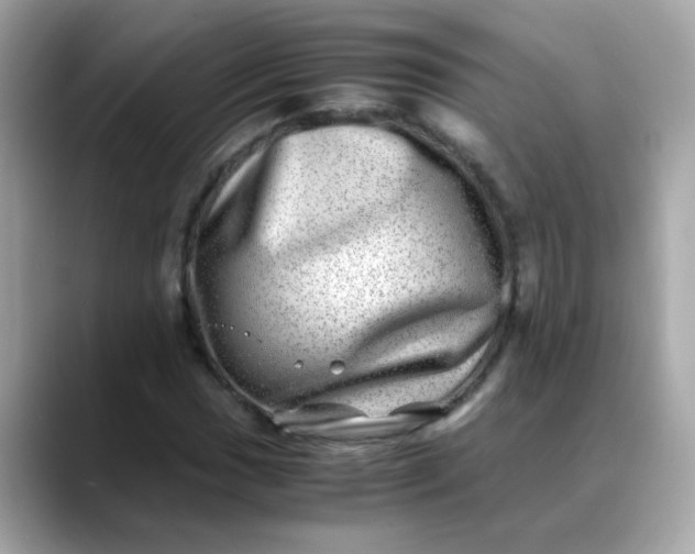 X0000088441017200706051244